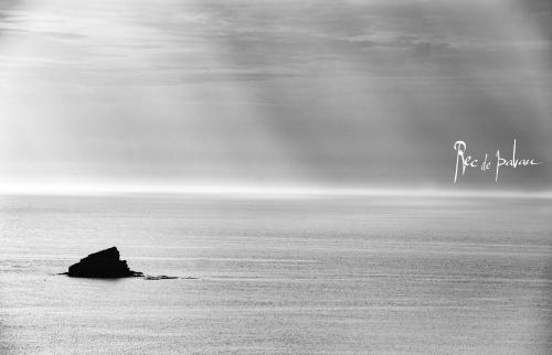 Фотография гостиницы Hotel Rec de Palau