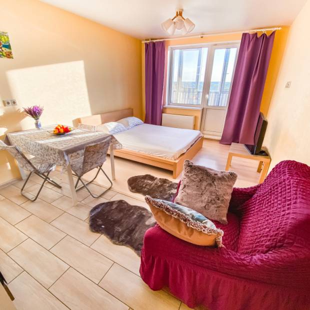 Фотографии квартиры 
            Апартаменты Уютная квартира возле Шереметьево