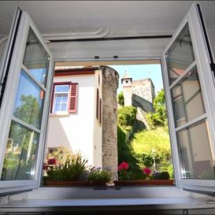 Фотографии гостиницы 
            Hotel Herberge zur Traube