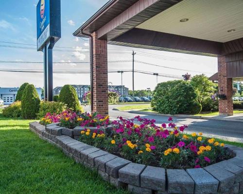 Фотография гостиницы Comfort Inn Fredericton