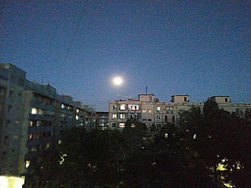 Фотография гостевого дома Apartment 7A