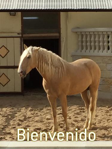 Фотография гостевого дома Wilsmann Apartmentvermietung