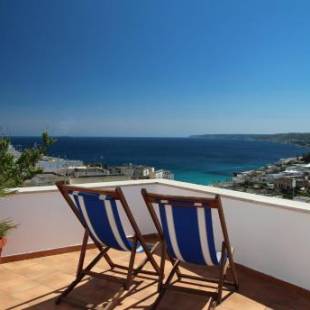 Фотографии гостиницы
Hotel Degli Ulivi