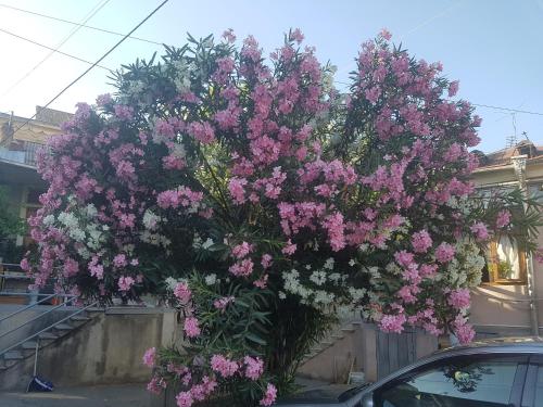 Фотография хостела Mari&Ana