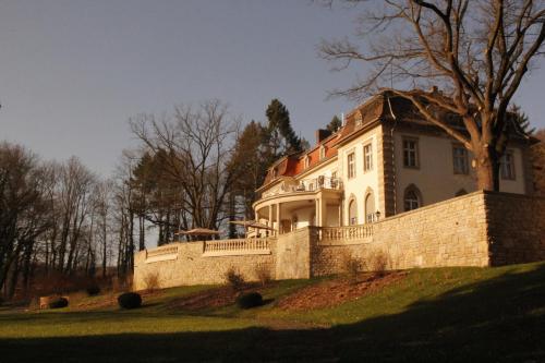 Фотография гостиницы Hotel Villa Altenburg