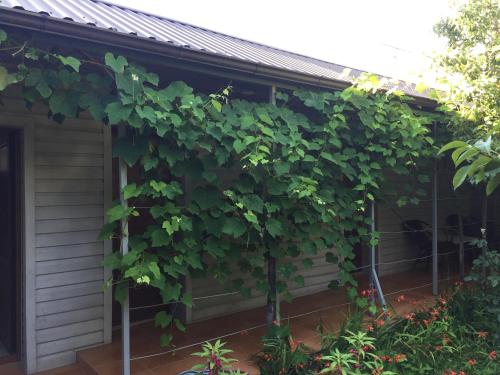 Фотография гостевого дома Христофор