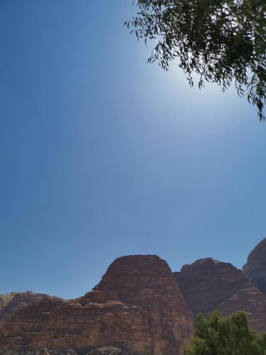 Фотография мини отеля Zarb Desert Camp