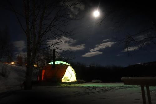 Фотография базы отдыха Wild Caribou Dome