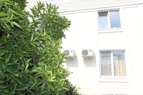 Фотография гостевого дома Дом у самого моря