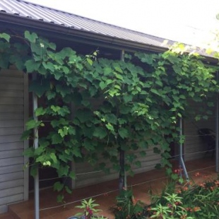 Фотография гостевого дома Христофор