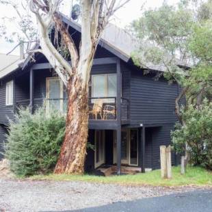 Фотографии гостевого дома
Milkwood