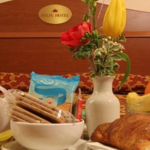 Фотографии гостиницы 
            Felix Hotel