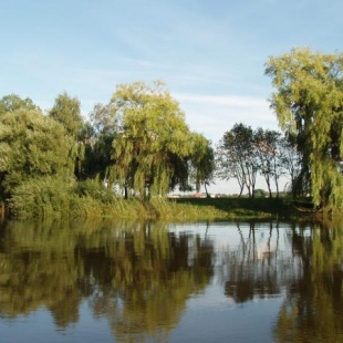 Фотография достопримечательности Центральный парк культуры и отдыха им. Леси Украинки