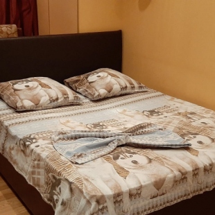 Фотография квартиры Апартаменты Уютное Жилье Пархоменко 17