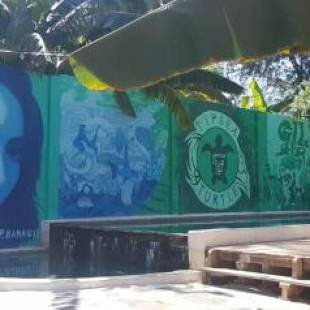 Фотографии гостиницы 
            Tipsea Turtle Gili Air