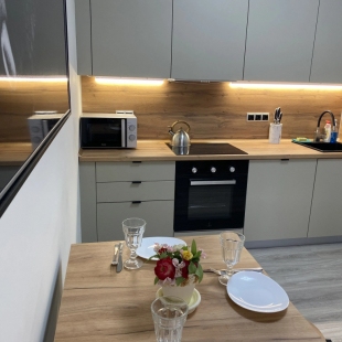 Фотография квартиры Квартира однокомнатная Рождественская 2