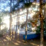 Фотография гостиницы Аврора