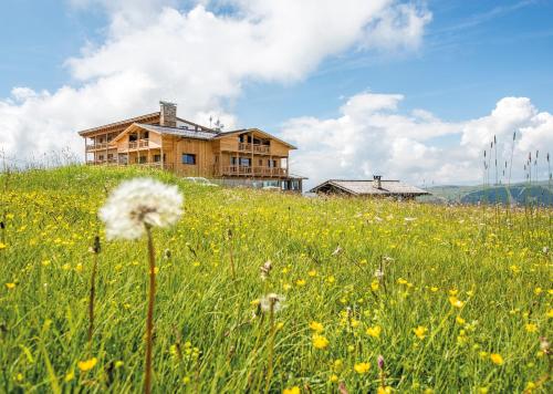 Фотография гостиницы Hotel Goldknopf