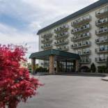 Фотография гостиницы Park Grove Inn