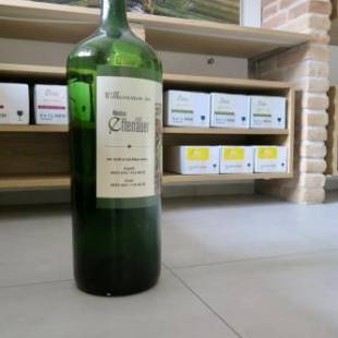 Фотографии мини отеля
Weinbau Ettenauer