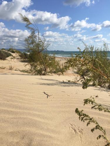 Фотографии гостевого дома
Барбарис на Красноармейской 29