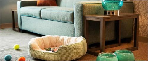 Фотографии гостиницы
Home2 Suites by Hilton San Antonio Lackland SeaWorld