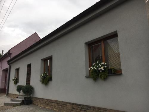 Фотография гостевого дома U Tabáčka