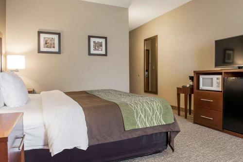 Фотография гостиницы Comfort Inn Edinburg South