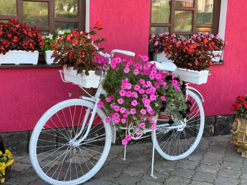 Фотографии гостиницы
Камилла