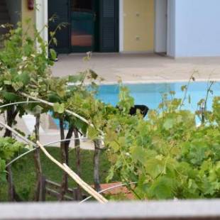 Фотографии гостиницы
Hotel Ariadimari