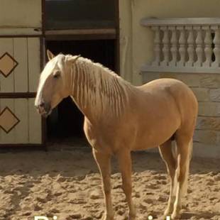 Фотографии гостевого дома
Wilsmann Apartmentvermietung