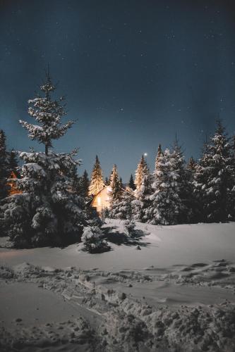 Фотография гостевого дома Vikendica Eden