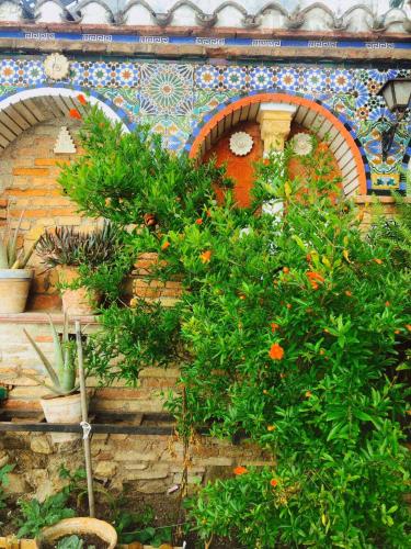 Фотография хостела Oripando Hostel