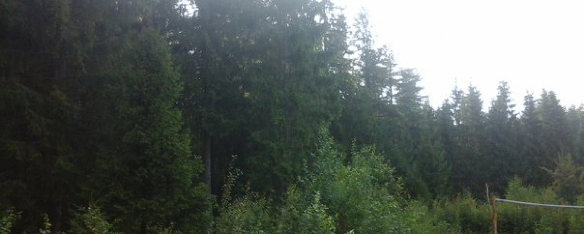 Фотографии базы отдыха
Залесье