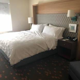 Фотографии гостиницы 
            Holiday Inn Hotel & Suites - Mount Pleasant, an IHG Hotel