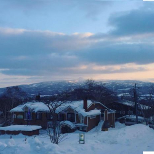 Фотография мини отеля Country Inn Milky House