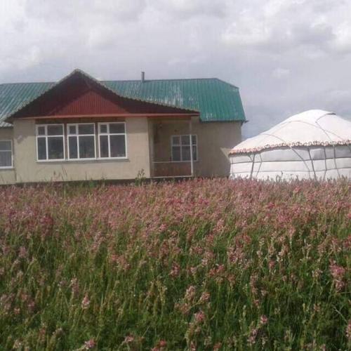 Фотография гостевого дома Абдумалик