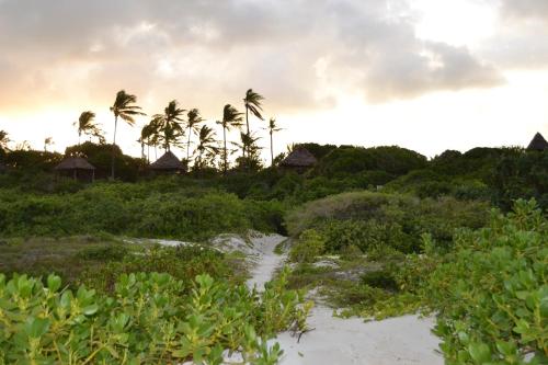 Фотография мини отеля Watamu Beach Cottages B&B