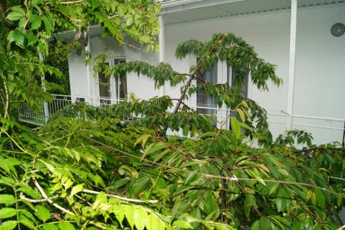 Фотография гостевого дома У Галины