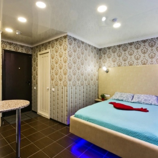 Фотография квартиры Апартаменты Hanaka на Пионерской 21Б №4