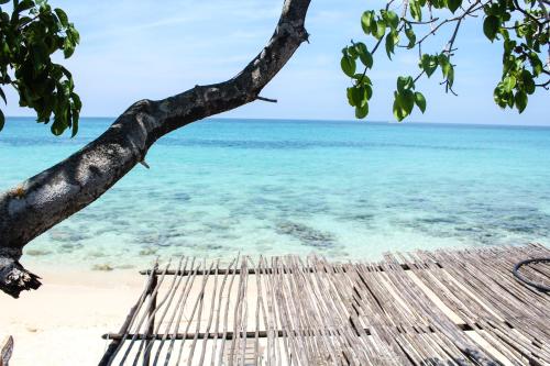 Фотография гостевого дома Playa Tortuga Cabaña
