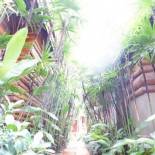 Фотография гостиницы Yotaka@Pai