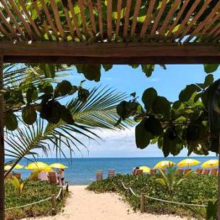 Фотографии мини отеля
Vila Araticum Praia