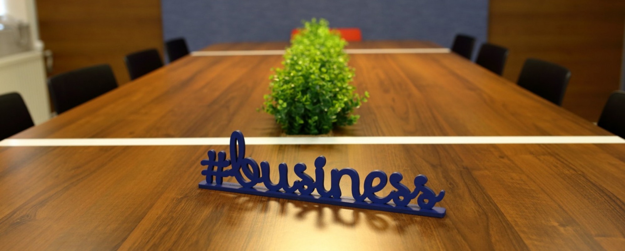 Фотографии конференц-зала Матисов Домик