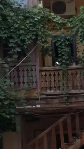 Фотография гостевого дома Joniskera