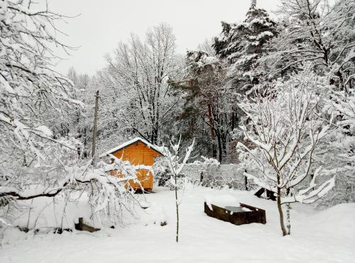Фотография гостевого дома Частная усадьба Ксения