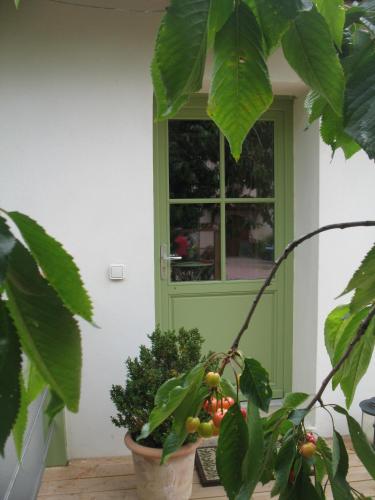 Фотография мини отеля Les Glycines - Domaine Gilles Coperet