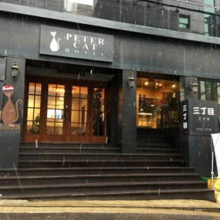 Фотография гостиницы Petercat Hotel Shinchon