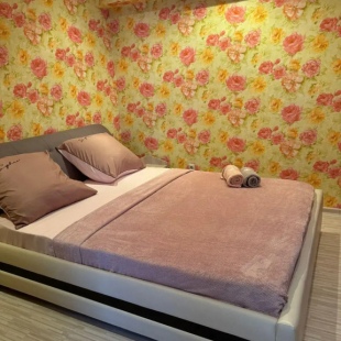 Фотография квартиры Апартаменты в микрорайоне 5-й 16