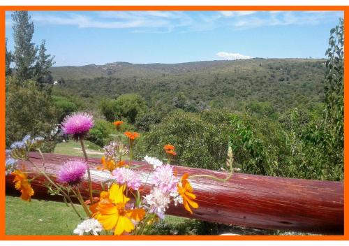 Фотография гостевого дома Cabañas Club del Lago